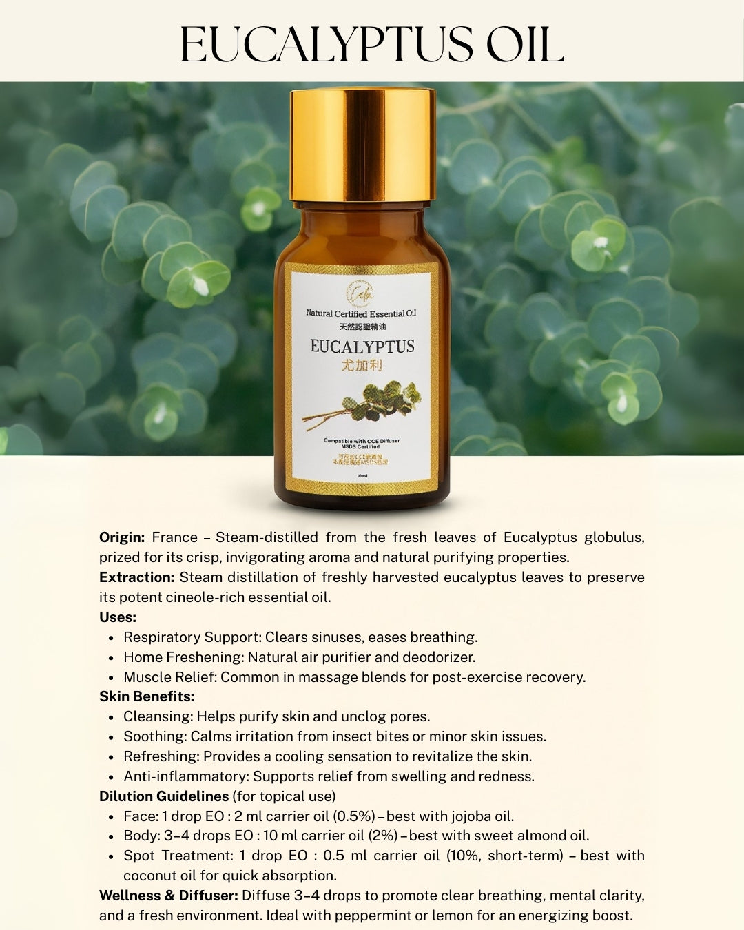 Calm Candles Essential -  Eucalyptus IFRA Certified Organic, Undiluted, Natural Essential Oil - Healing , Pure  & Refreshing Aromatherapy - Clear Your Senses, Certified Quality for Holistic Well-Being & Respiratory Health Support - 10ml