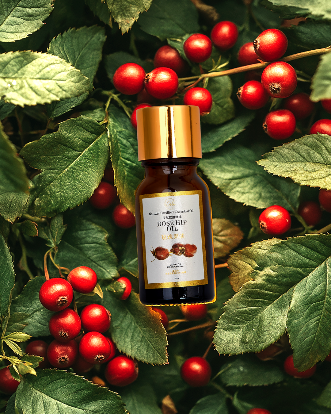 Calm Candles Essential - Rosehip Certified Organic, Undiluted, Natural Essential Oil - Healing , Pure  & Refreshing Aromatherapy - Clear Your Senses, Certified Quality for Holistic Well-Being & Respiratory Health Support - 10ml