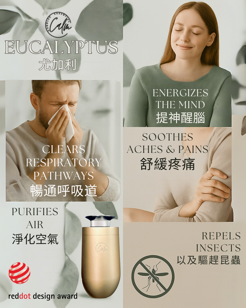 Calm Candles Essential - 尤加利精油，經IFRA有機認證，未稀釋，天然 - 療癒、純淨、清新的芳香療法 - 喚醒您的感官，品質認證，促進身心健康及呼吸系統健康 - 10毫升