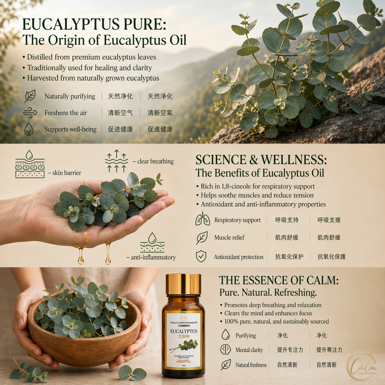 Calm Candles Essential -  Eucalyptus IFRA Certified Organic, Undiluted, Natural Essential Oil - Healing , Pure  & Refreshing Aromatherapy - Clear Your Senses, Certified Quality for Holistic Well-Being & Respiratory Health Support - 10ml
