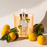 Yuzu Gold Metal Kerzenkollektion | Hergestellt mit hochwertigem Kokosnusswachs & Kirschholzdocht für über 60 Stunden Brenndauer - Calm Candles Essential