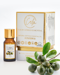 Calm Candles Essential – Tamanu Ätherisches Öl, zertifiziert biologisch, unverdünnt, natürlich – Pflegende, heilende und verjüngende Aromatherapie – Verbessert die Hautgesundheit und das allgemeine Wohlbefinden – 10ml