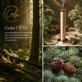Calm Candles Essential Aroma Diffuser Mini Studio Pro:   Waterless Cordless Diffuser with Free 100ml Fragrance Oil - Type C (10,000 mah)
