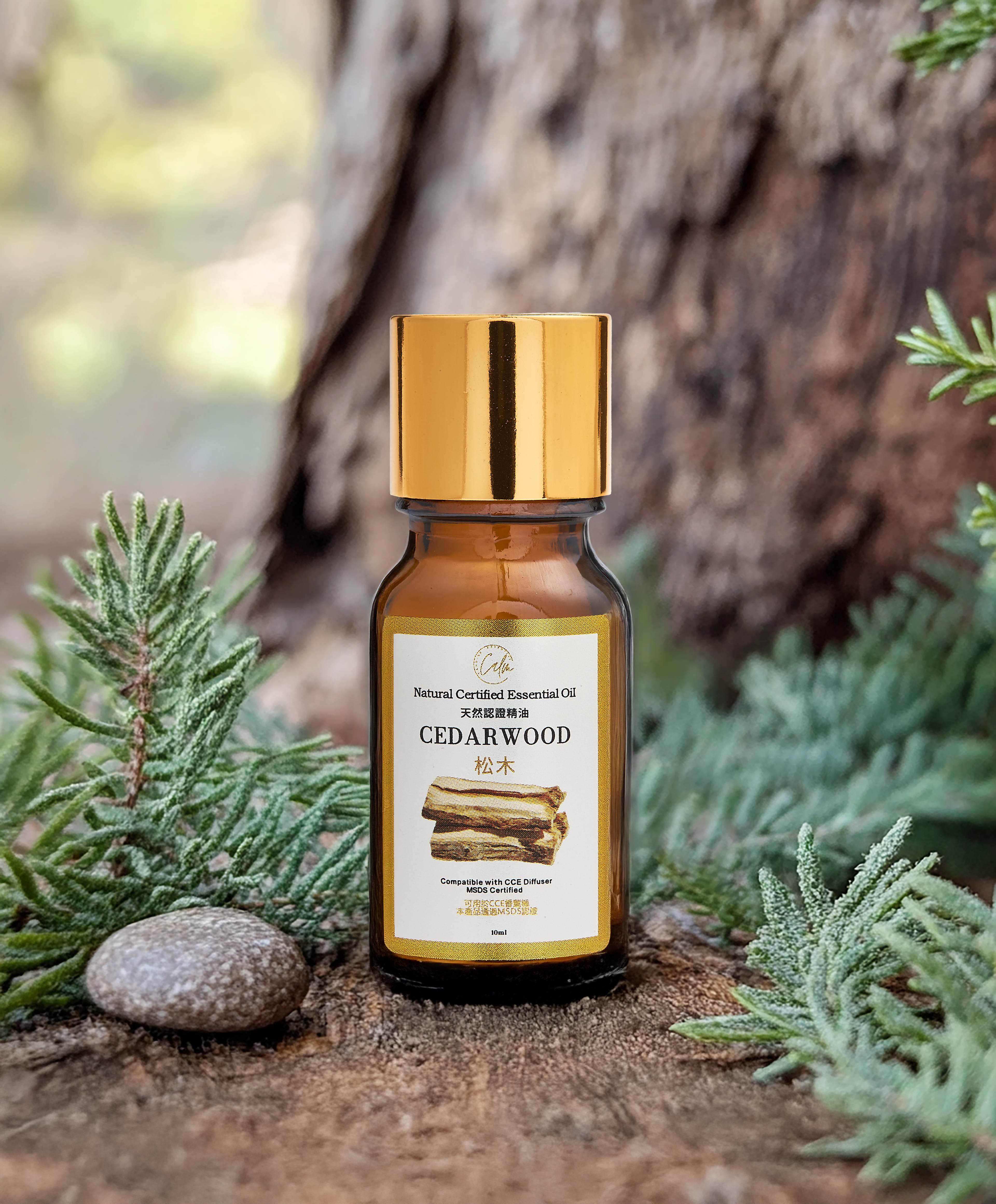 Calm Candles Essential - Cedarwood Certified Organic, Undiluted, Natural Essential Oil - Healing , Pure  & Refreshing Aromatherapy - Clear Your Senses, Certified Quality for Holistic Well-Being & Respiratory Health Support - 10ml
