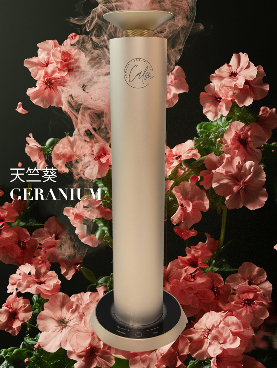 Calm Candles Essential Aroma Diffuser Mini Studio Pro:   Waterless Cordless Diffuser with Free 100ml Fragrance Oil - Type C (10,000 mah)