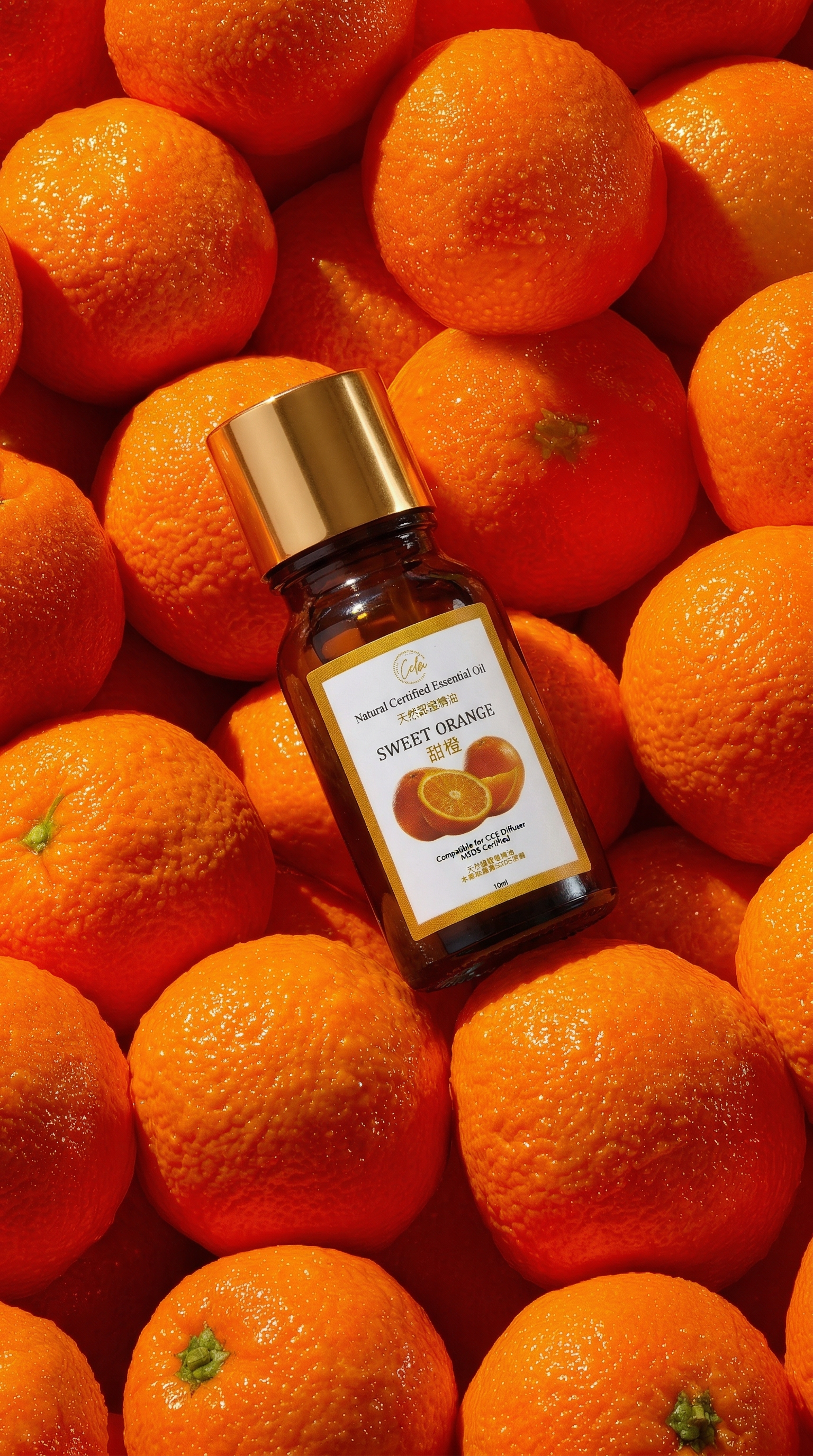 Calm Candles Essential – Sweet Orange Certified Organic, Undiluted, Natural Essential Oil – Uplifting, Refreshing & Mood-Boosting Aromatherapy |  Enhance Energy, Relaxation & Home Fragrance – 10ml