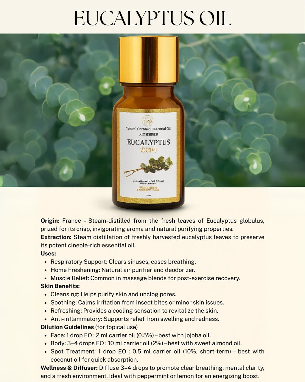 Calm Candles Essential -  Eucalyptus IFRA Certified Organic, Undiluted, Natural Essential Oil - Healing , Pure  & Refreshing Aromatherapy - Clear Your Senses, Certified Quality for Holistic Well-Being & Respiratory Health Support - 10ml