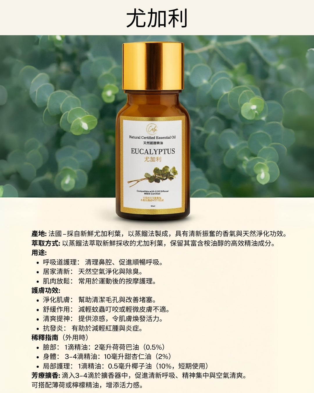 Calm Candles Essential -  Eucalyptus IFRA Certified Organic, Undiluted, Natural Essential Oil - Healing , Pure  & Refreshing Aromatherapy - Clear Your Senses, Certified Quality for Holistic Well-Being & Respiratory Health Support - 10ml