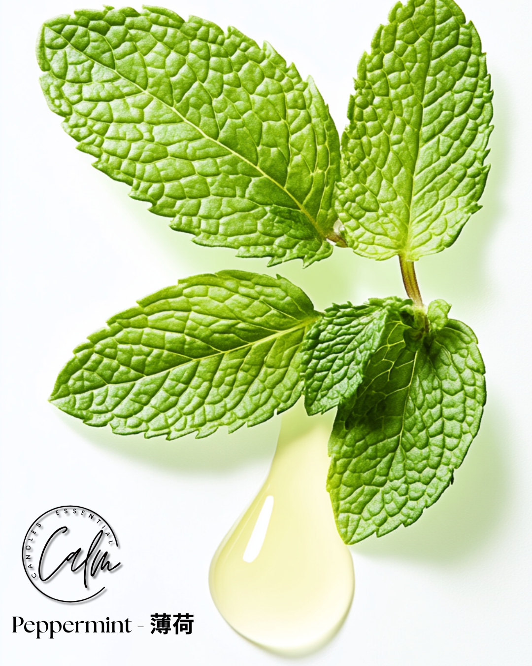 Calm Candles Ätherisches Pfefferminzöl 100% rein, IFRA-zertifiziert Bio, unverdünnt, natürliche Aromatherapie, für Diffusion, Haut, Haar, therapeutische Qualität 10ml