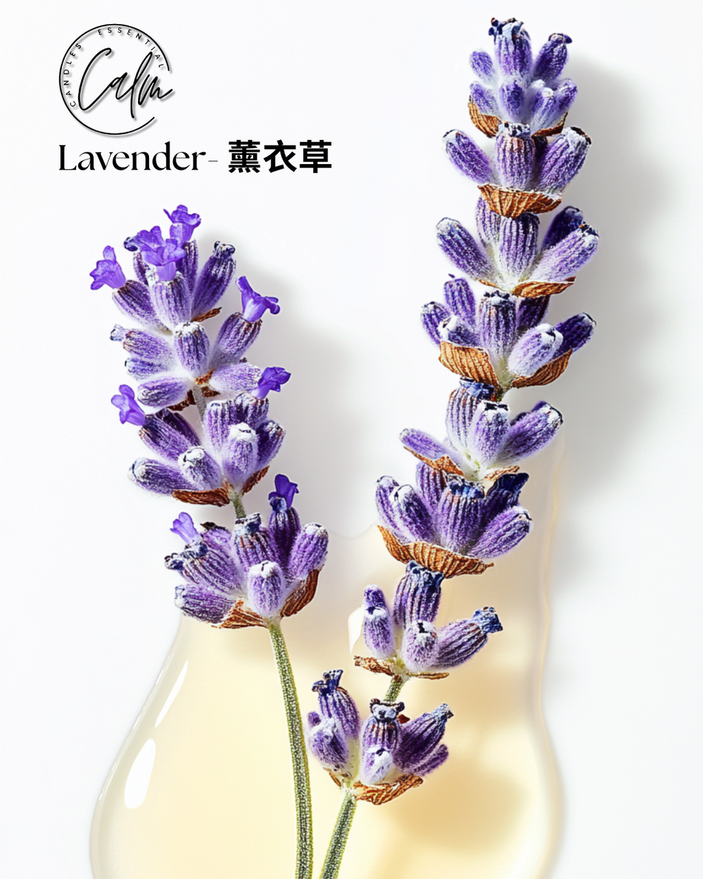 Calm Candles Essential - Organic IFRA Certified Lavender Essential Oil - 100% Pure Natural for Aromatherapy Diffuser for Diffuser, Aromatherapy, Hair Care, Skin Care, Sleep. (10mL)