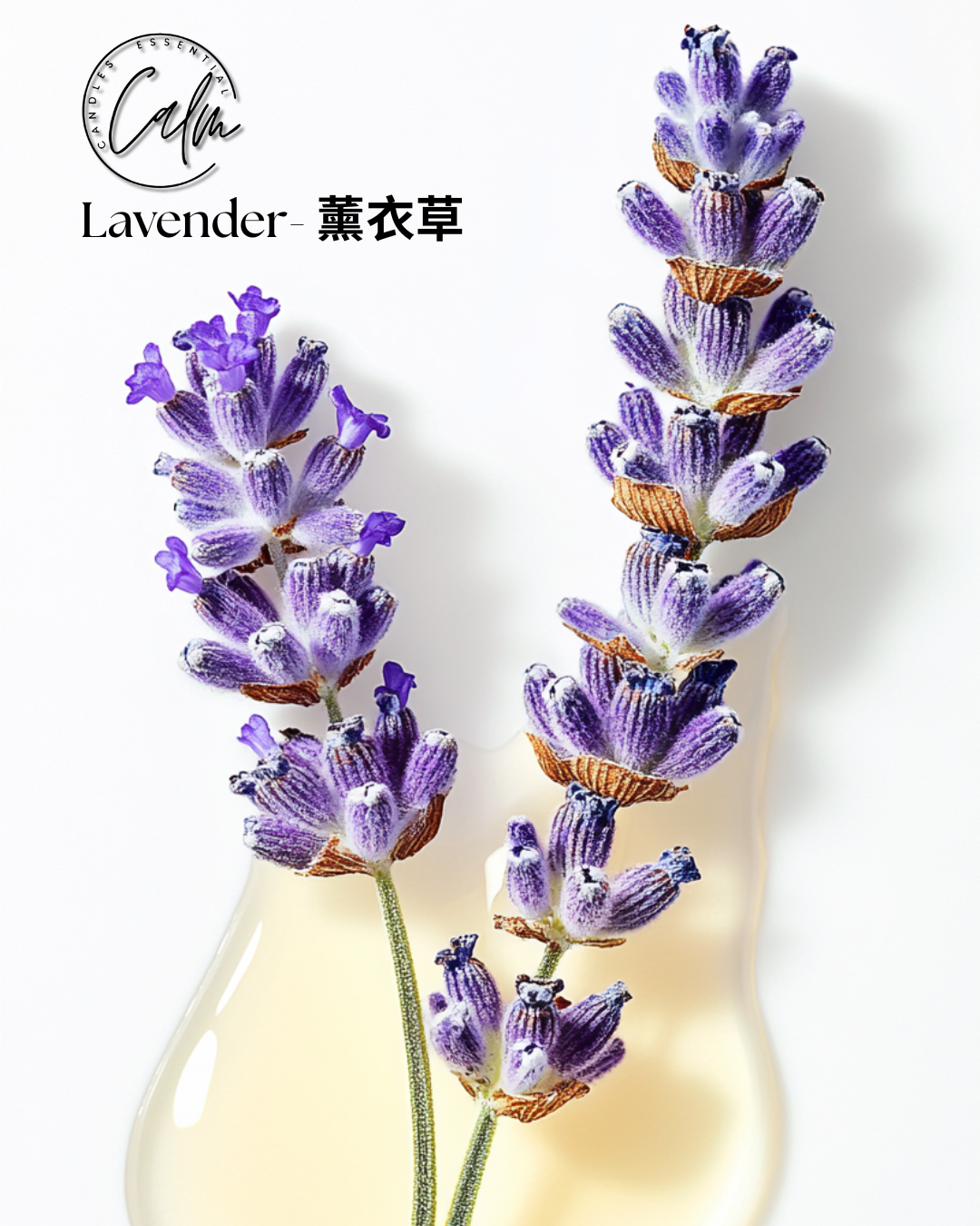 Calm Candles Essential - Organic IFRA Certified Lavender Essential Oil - 100% Pure Natural for Aromatherapy Diffuser for Diffuser, Aromatherapy, Hair Care, Skin Care, Sleep. (10mL)
