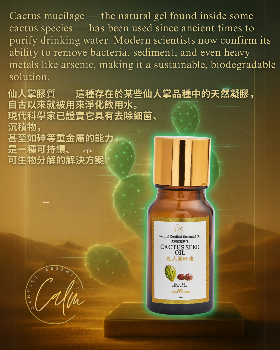 Calm Candles Essential - Certified Organic Cactus  Oil, Undiluted & Natural - Nourishing, Moisturizing & Healing Aromatherapy - Enhances Skin Health & Overall Well-Being - 10ml