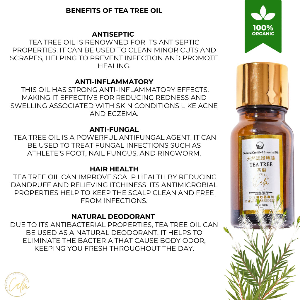 Calm Candles Essential – Teebaumöl (Melaleuca) 100 % rein, IFRA-zertifiziert biologisch, unverdünnt, natürliche Aromatherapie, therapeutische Qualität (10 ml)