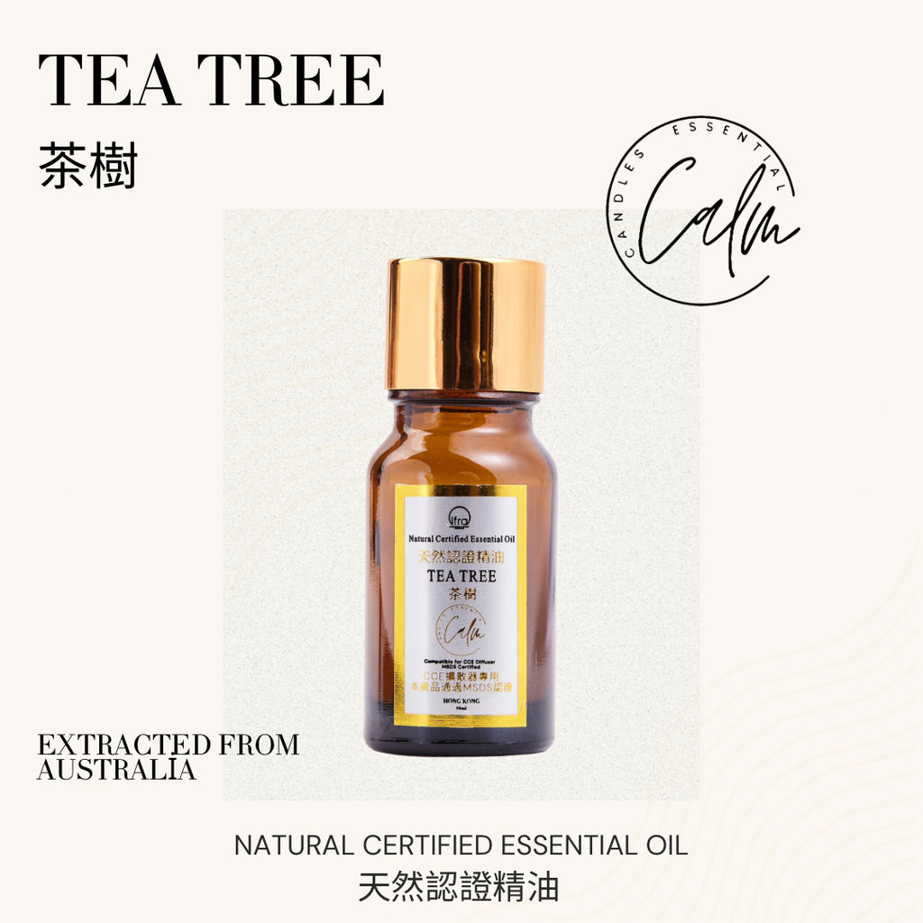 Calm Candles Essential – Teebaumöl (Melaleuca) 100 % rein, IFRA-zertifiziert biologisch, unverdünnt, natürliche Aromatherapie, therapeutische Qualität (10 ml)