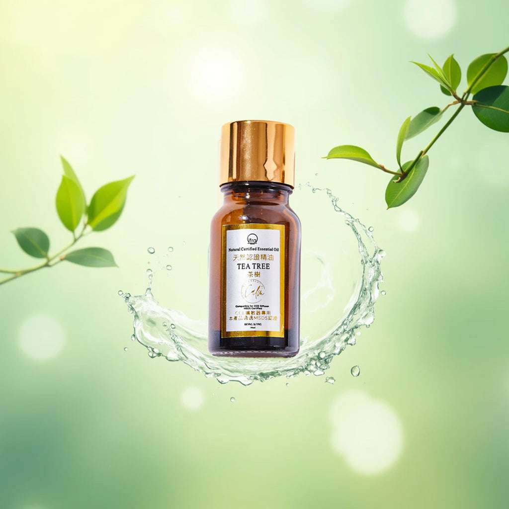Calm Candles Essential – Teebaumöl (Melaleuca) 100 % rein, IFRA-zertifiziert biologisch, unverdünnt, natürliche Aromatherapie, therapeutische Qualität (10 ml)