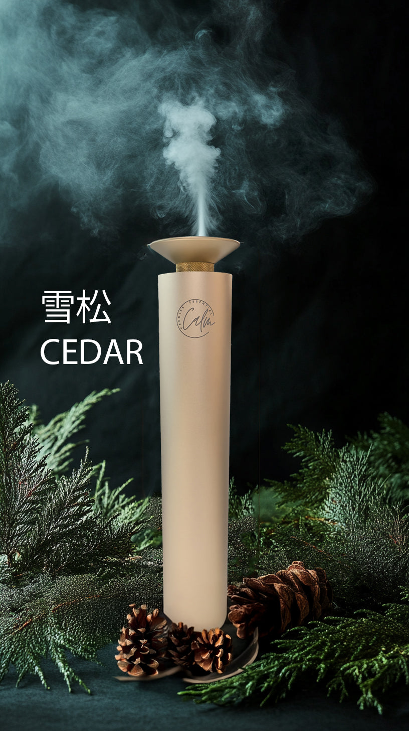 Calm Candles Essential Aroma Diffuser Mini Studio Pro: Red Dot Award-Winning Waterless Air Cordless Diffuser with Free 100ml Fragrance Oil - Type C (10,000 mah)