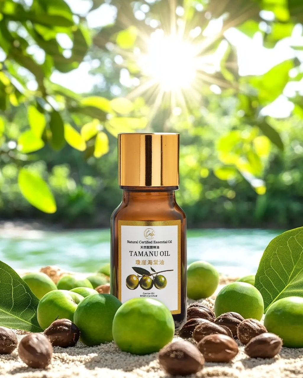Calm Candles Essential – Tamanu Ätherisches Öl, zertifiziert biologisch, unverdünnt, natürlich – Pflegende, heilende und verjüngende Aromatherapie – Verbessert die Hautgesundheit und das allgemeine Wohlbefinden – 10ml