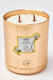 White Champaca Gold Metal Candle Collection | Made with Premium Coconut Wax & Cherry Wooden Wick Up to 60+ hours burn - Calm Candles Essential