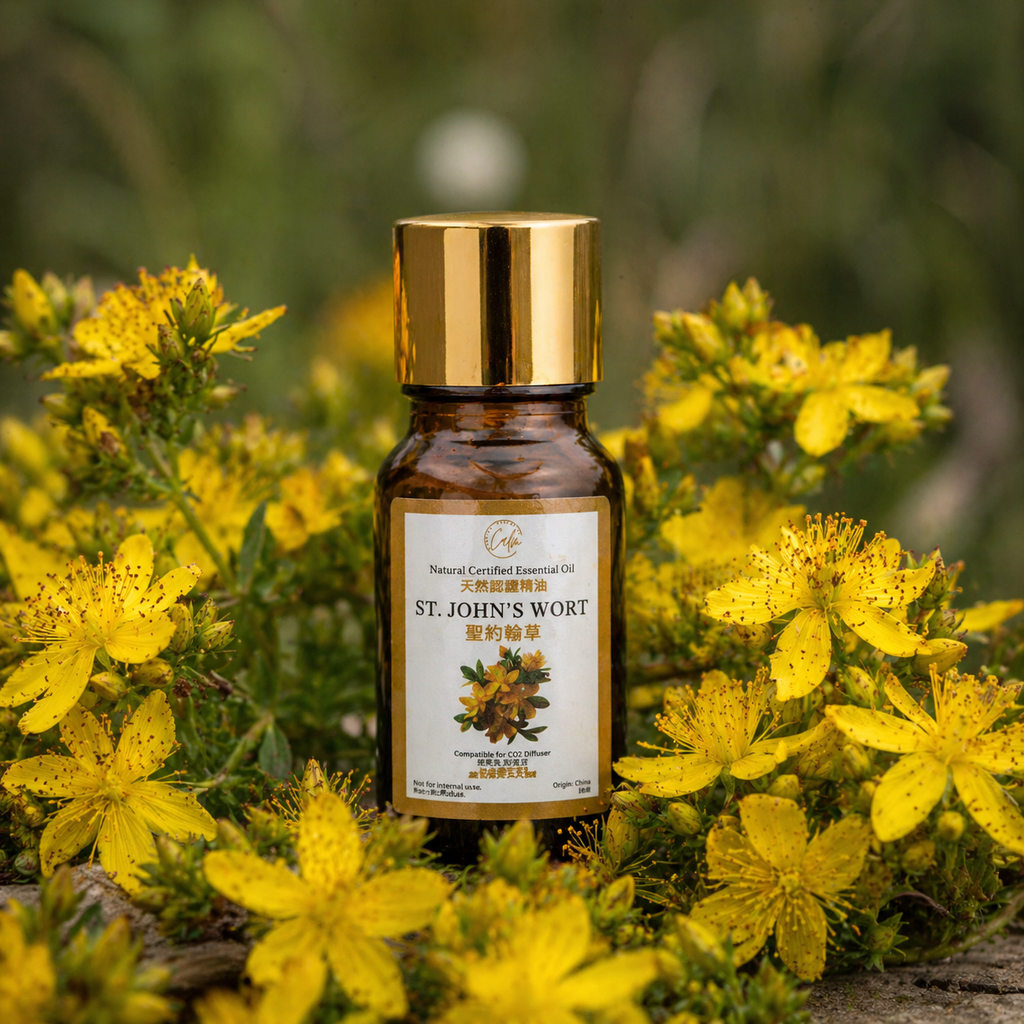 Calm Candles Johanniskrautöl Essentiell 10ml – Naturzertifiziertes Hypericumöl zur Hautregeneration, Narbenpflege & Tiefenheilung