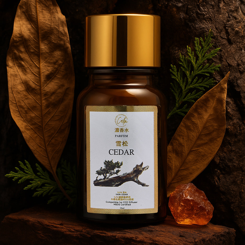 Calm Candles Essential 10ml Zedernholz Parfüm Duftöl – Bio-Mischung für Aromatherapie mit warmen Gewürz- und erdigen Noten