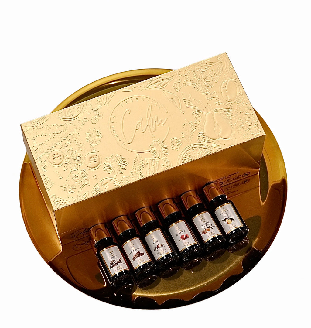 Deluxe Gift Set – 6 Parfum Oils + 10ml Cordless Diffuser