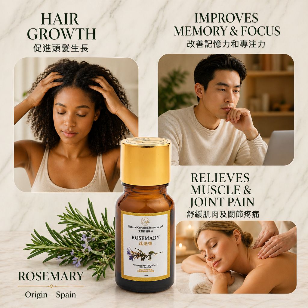 Calm Candles Essential – Zertifiziertes Bio-Rosmarinöl, unverdünnt & natürlich – Nährende, feuchtigkeitsspendende & heilende Aromatherapie – Fördert die Hautgesundheit & das allgemeine Wohlbefinden – 10ml
