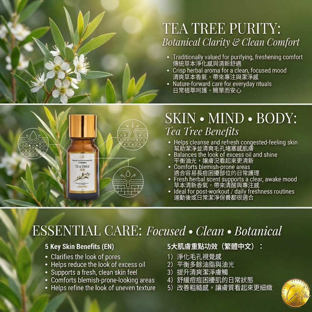 Calm Candles Essential – Teebaumöl (Melaleuca) 100 % rein, IFRA-zertifiziert biologisch, unverdünnt, natürliche Aromatherapie, therapeutische Qualität (10 ml)