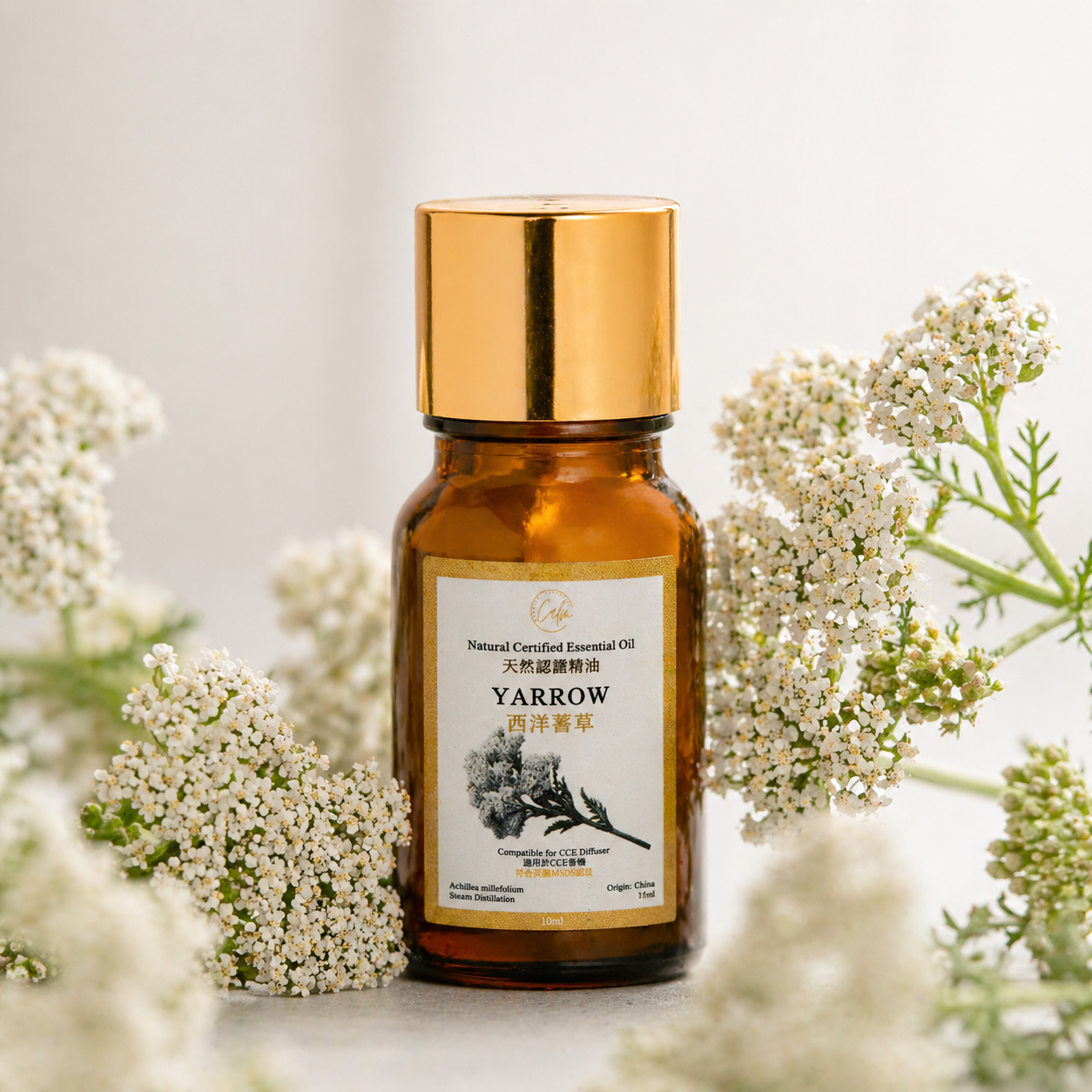 Calm Candles Essential Yarrow Oil (10ml) – 100% Pure Natural Yarrow Essential Oil for Skin Healing, Anti-Inflammatory Care & Relaxation | Premium Botanical Extract